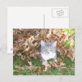 KeukenBriefkaart Briefkaart (Voorkant / Achterkant)