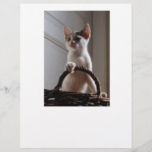 Keukenbrochure Flyer (Achterkant)