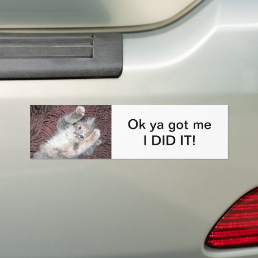 Keukenbumpersticker Bumpersticker (Op auto)