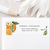 Keukencitrusadreslabel Etiket (Insitu)