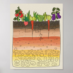 Keukendecor voor tuinbodemlagen van groenten poster