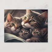 Keukenfamilie: katje met moeder en Kittens Briefkaart (Voorkant)