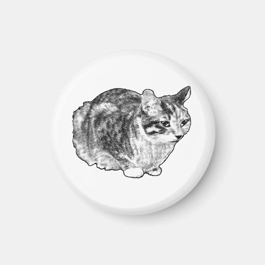 Keukengalerij: Tabby met Sneeuwstippen Magneet (Voorkant)