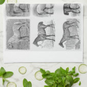 keukengerei en keukengerei, met paarddendeeg theedoek (Gevouwen)