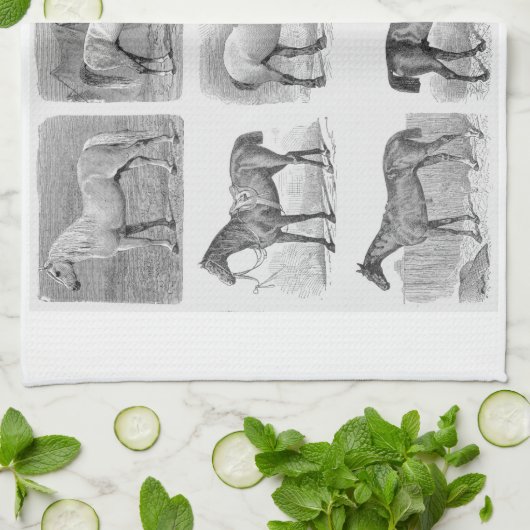 keukengerei en keukengerei, met paarddendeeg theedoek (Gevouwen)