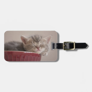 Keukengewas in een koffer bagagelabel