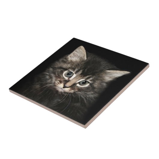 Keukengezicht Tegeltje (Zijkant)