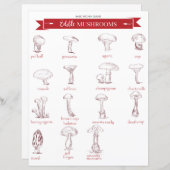 Keukengids: Eetbare paddenstoelen (Voorkant / Achterkant)