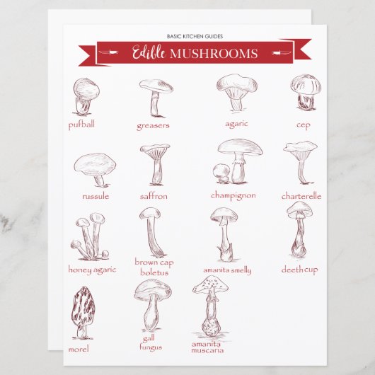 Keukengids: Eetbare paddenstoelen (Voorkant / Achterkant)