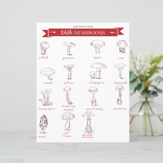 Keukengids: Eetbare paddenstoelen (Staand voorkant)