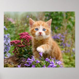 Keukenginger kitten in een tuin die met bloem word poster
