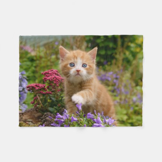 Keukenginger kitten in een tuin fleece deken (Voorkant (Horizontaal))