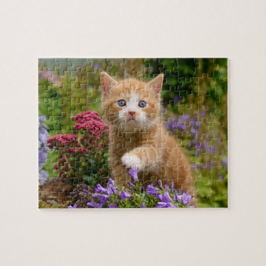 Keukenginger kitten in een tuin legpuzzel (Horizontaal)