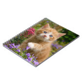 Keukenginger kitten in een tuin notitieboek (Linkerzijde)