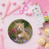 Keukenginger kitten in een tuin papieren bordje (Feest)