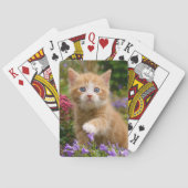 Keukenginger kitten in een tuin speelkaarten (Achterkant)