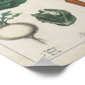 Keukengroenten | Charlotte Mary Yonge Poster (Hoek)