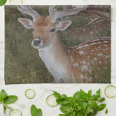 keukenhanddoek (Gevouwen)