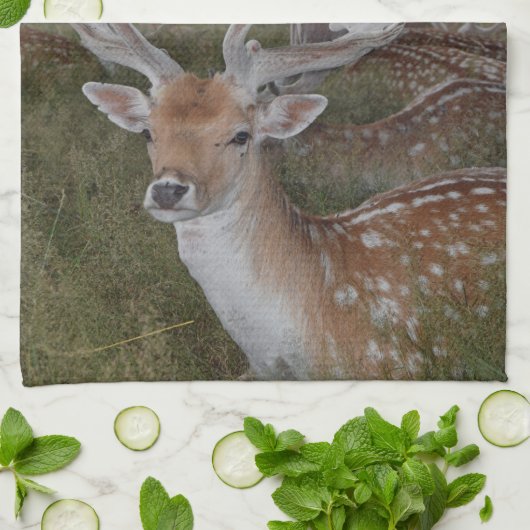 keukenhanddoek (Gevouwen)