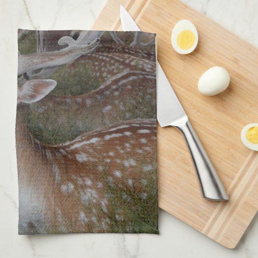 keukenhanddoek (Quarter Fold)