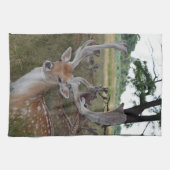 keukenhanddoek (Horizontaal)