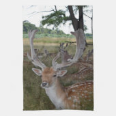 keukenhanddoek (Verticaal)