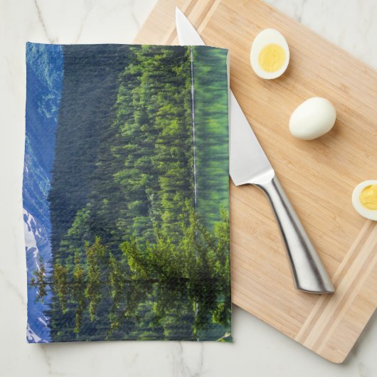 keukenhanddoek (Quarter Fold)