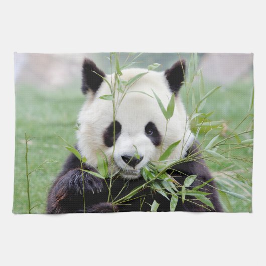 keukenhanddoek Foto reus panda, animal 0221. (Horizontaal)