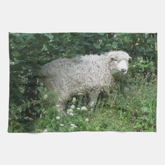 Keukenhanddoek met fluffy witte schapen (Horizontaal)