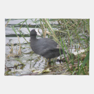 Keukenhanddoek met meerkoet aan de rivieroever