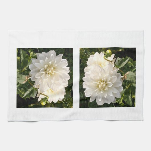 Keukenhanddoek met twee elegante witte dahlias (Horizontaal)