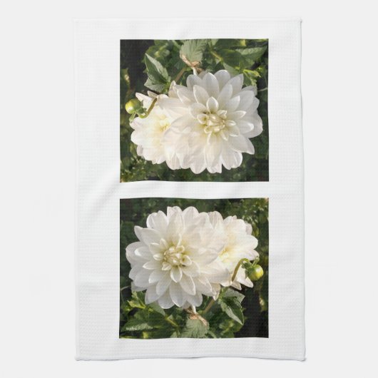 Keukenhanddoek met twee elegante witte dahlias (Verticaal)