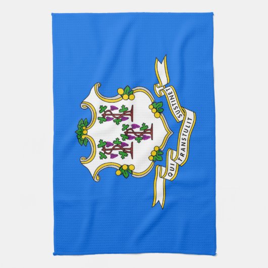 Keukenhanddoek met vlag van Connecticut, U.S.A. (Verticaal)