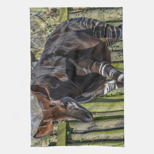 Keukenhanddoek Okapi (Verticaal)