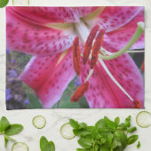 Keukenhanddoek-Stargazers-2 Theedoek (Gevouwen)