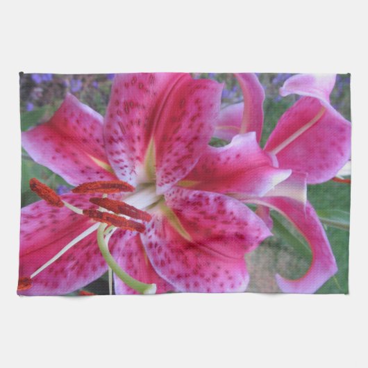 Keukenhanddoek-Stargazers-2 Theedoek (Horizontaal)