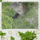 keukenhanddoek voor marmots (Gevouwen)