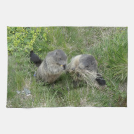 keukenhanddoek voor marmots