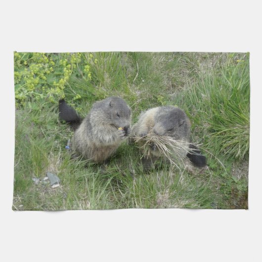 keukenhanddoek voor marmots (Horizontaal)