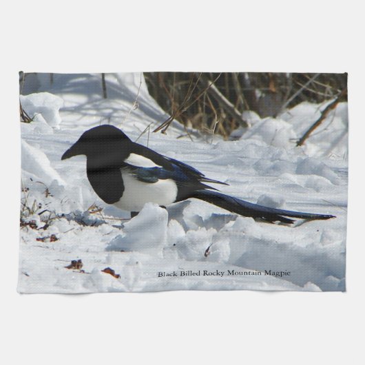 Keukenhanddoek voor zwarte Rocky Mountain Magpie (Horizontaal)