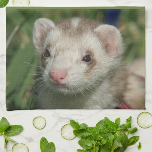 Keukenhanddoeken (Gevouwen)