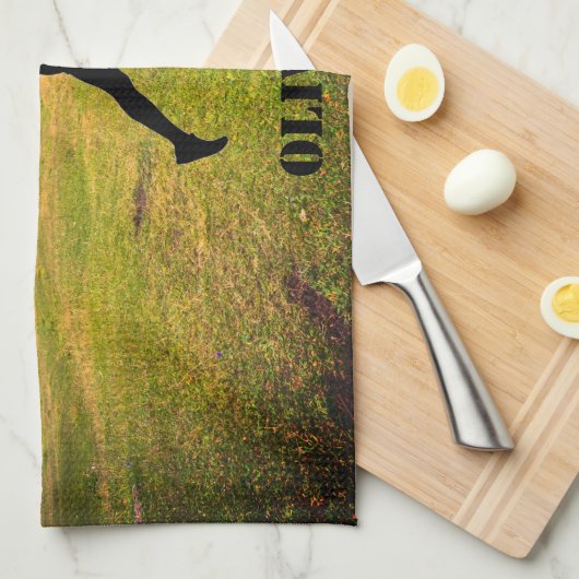 Keukenhanddoeken over land (Quarter Fold)