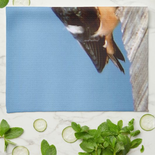 keukenhanddoeken van Barn Swallow (Gevouwen)