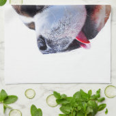 Keukenhanddoeken van het ontwerp "Saint Bernard" (Gevouwen)