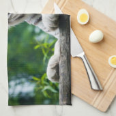 Keukenhanddoeken van witte tijger (Quarter Fold)