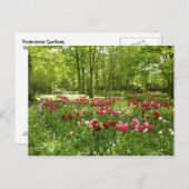 Keukenhof 2 briefkaart (Voorkant / Achterkant)