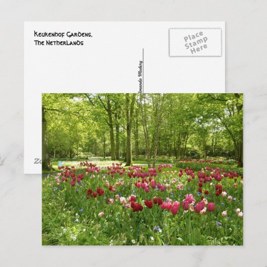 Keukenhof 2 briefkaart (Voorkant / Achterkant)
