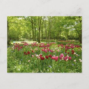 Keukenhof 2 briefkaart