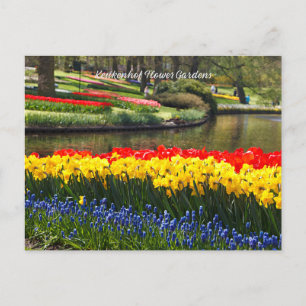 Keukenhof Bloementuinen Briefkaart