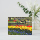 Keukenhof Bloementuinen Briefkaart (Staand voorkant)